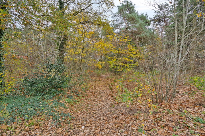 Photo 47 of Deursenstraat 14