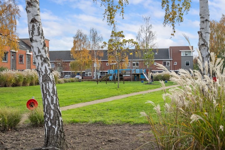 Photo 31 of Zwartemeer 5