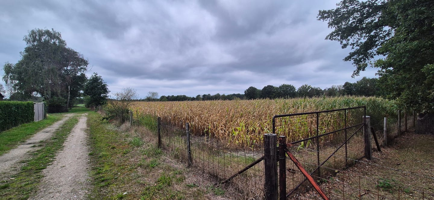 Bekijk foto 1 van Hengstheuvelweg