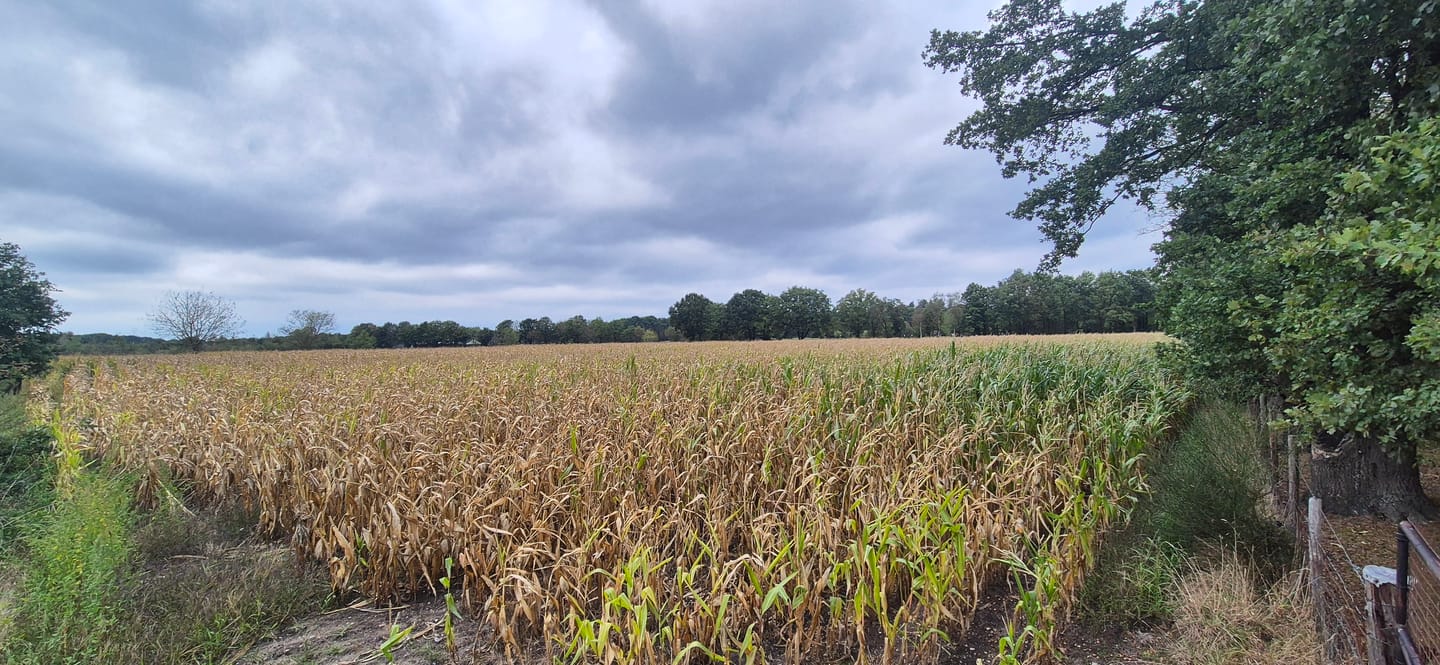 Bekijk foto 2 van Hengstheuvelweg