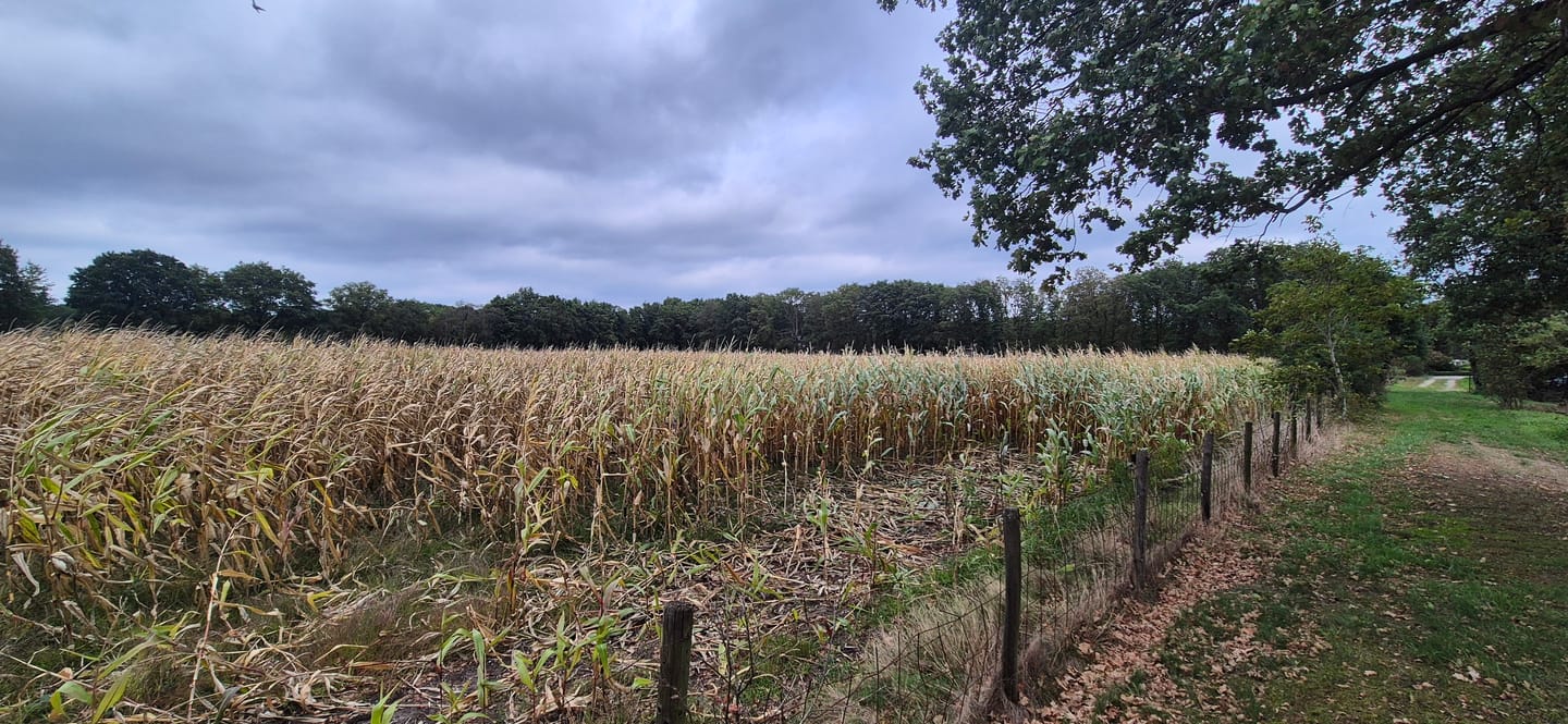 Bekijk foto 3 van Hengstheuvelweg