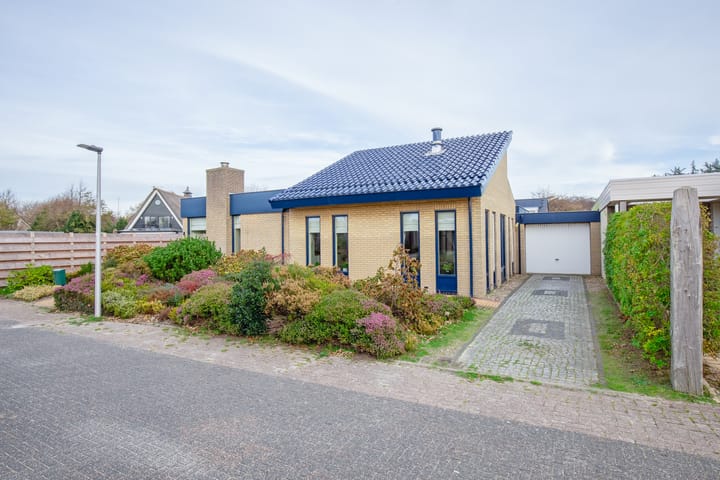 Photo 2 of Orchismient 8