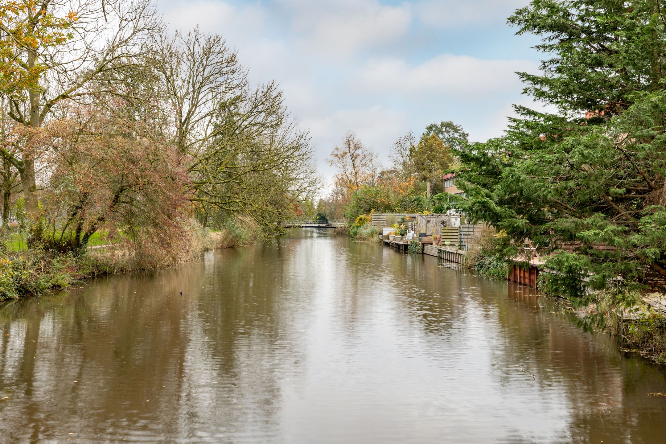 Foto 42 van Meeuwstraat 126