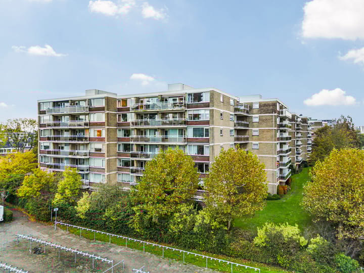 Apollolaan 244 main image