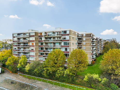 Apollolaan thumbnail