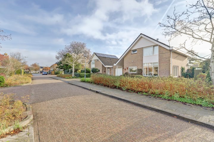 Foto 1 van Irenestraat 51