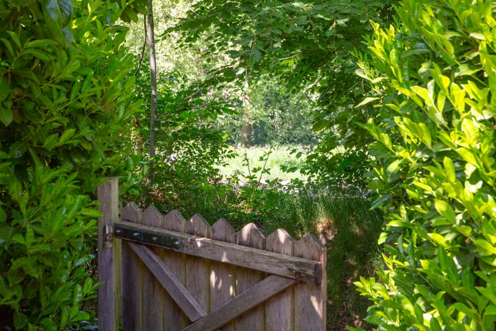 Photo 45 of Nieuw Beusinkweg 20-16