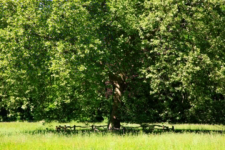 Photo 48 of Nieuw Beusinkweg 20-16