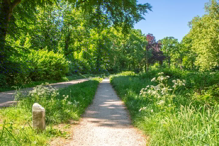 Photo 47 of Nieuw Beusinkweg 20-16