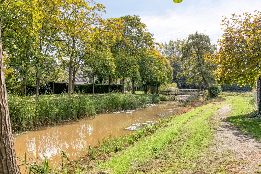 Foto 37 van Fazantenkamp 416