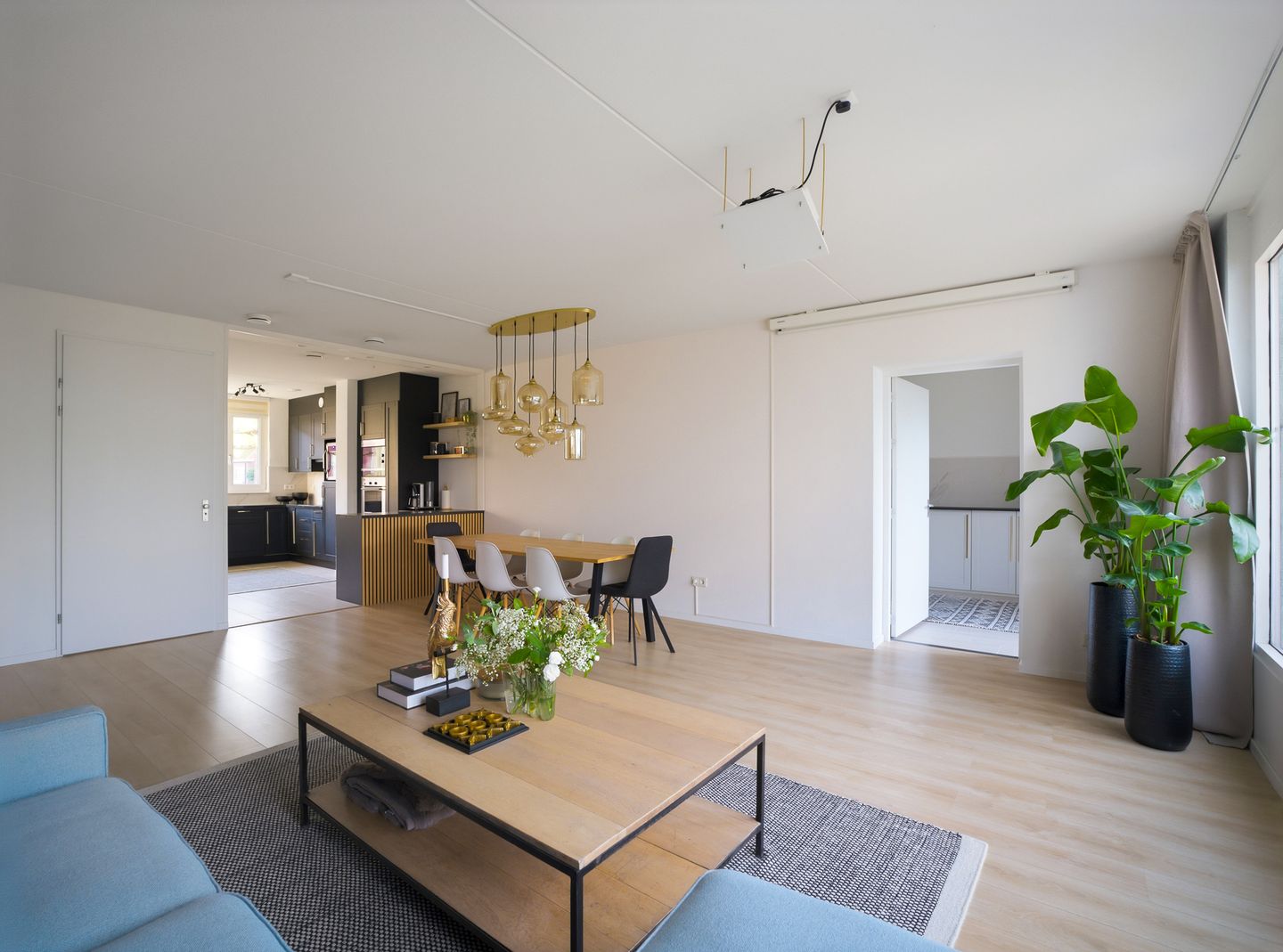 Foto 14 van Schipperstraat 187