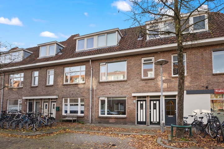 Lepelaarstraat 3