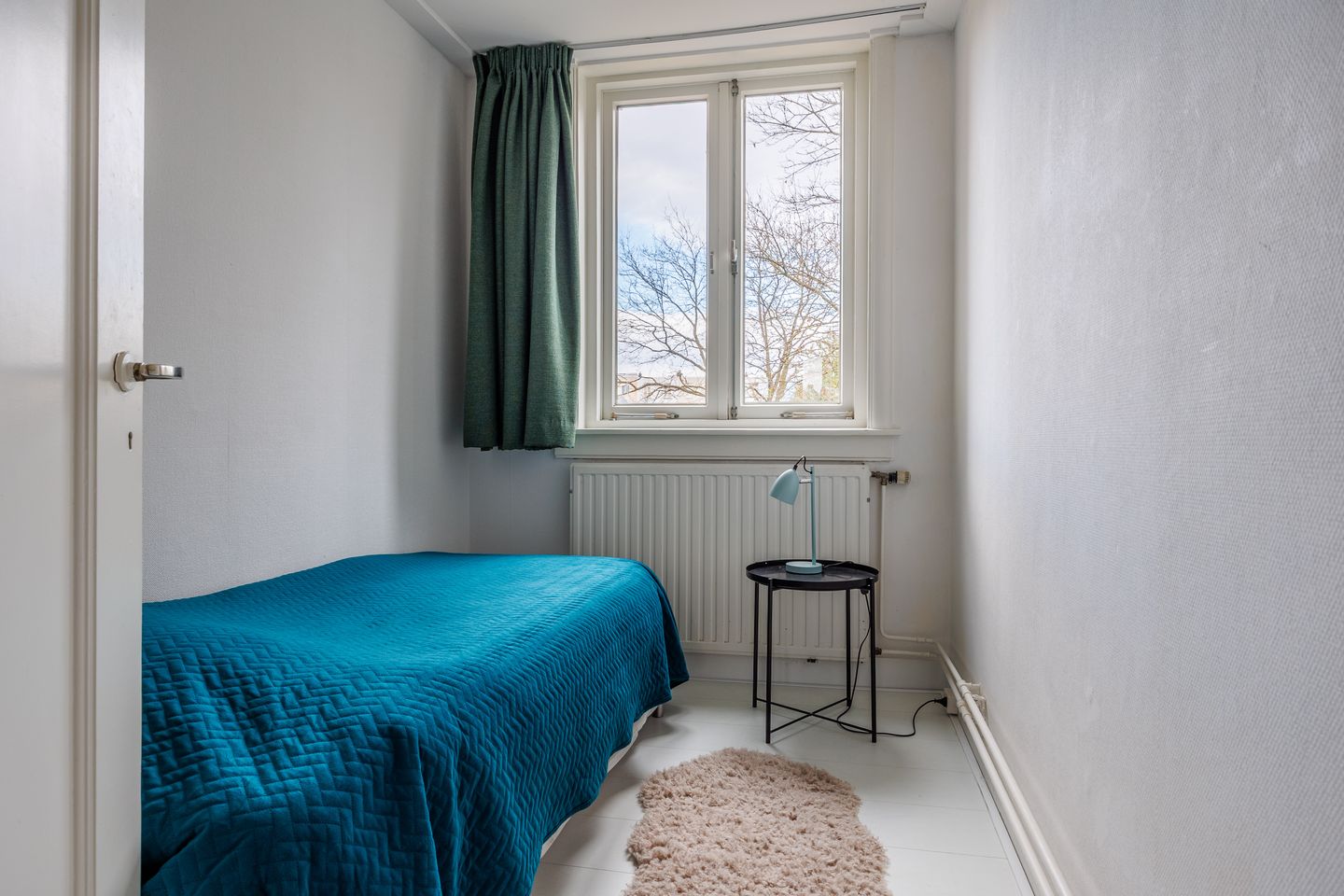 Photo 49 of van Heutszstraat 15