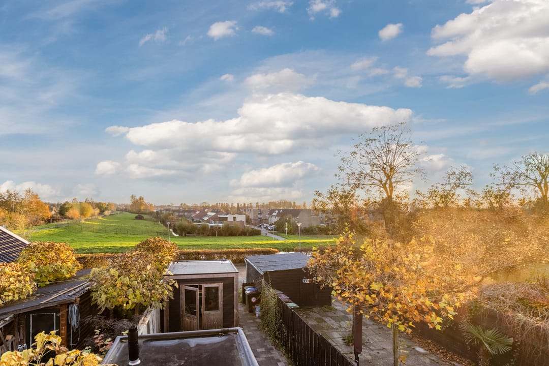 Photo 2 of Zijde 338