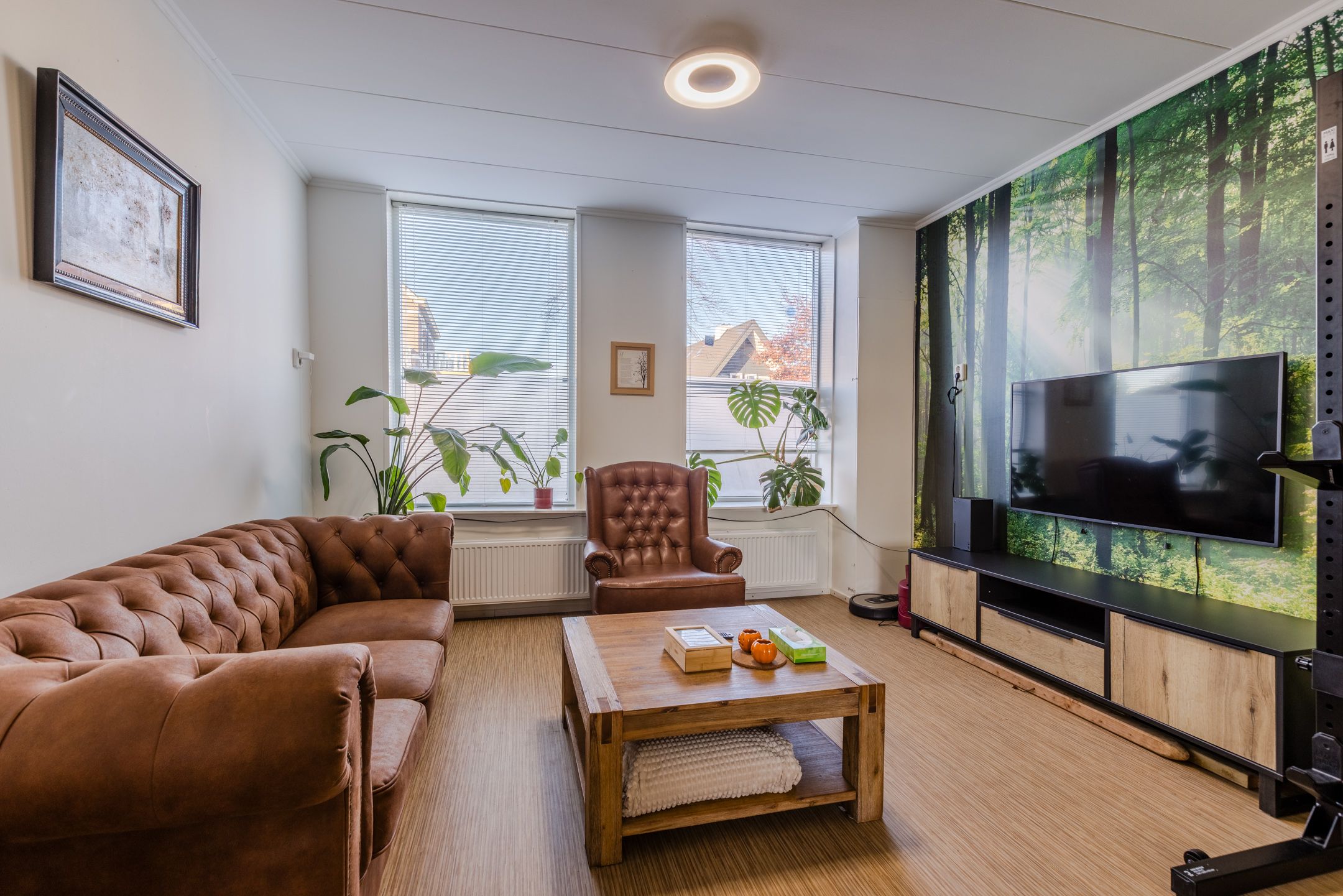 Photo 3 of Zijde 338