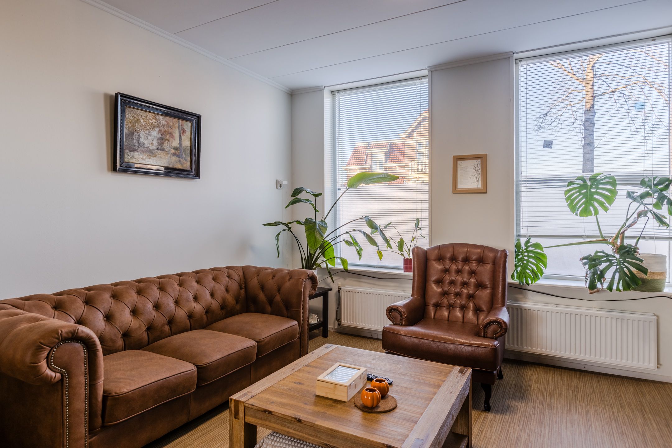 Photo 6 of Zijde 338