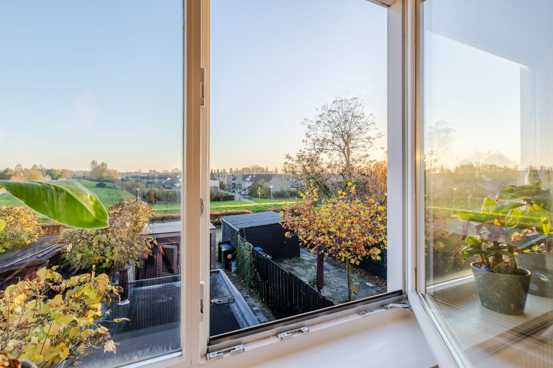 Photo 22 of Zijde 338