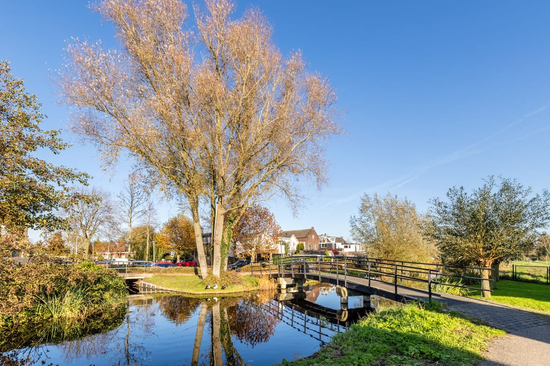 Photo 43 of Zijde 338