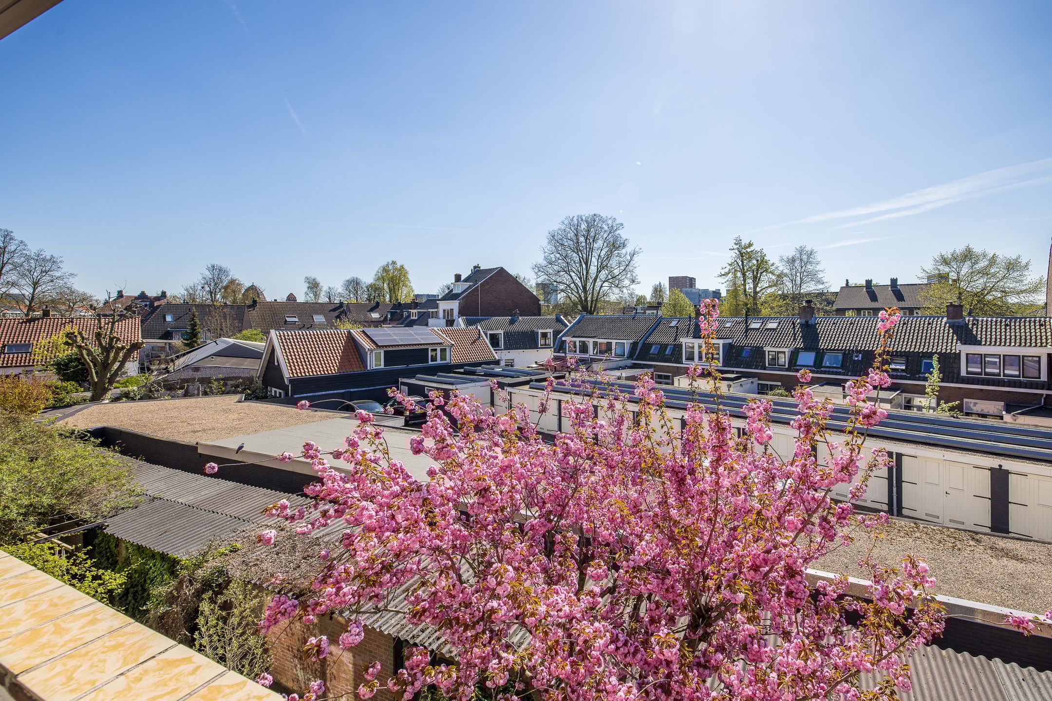 Foto 18 van Homeruslaan 11-2