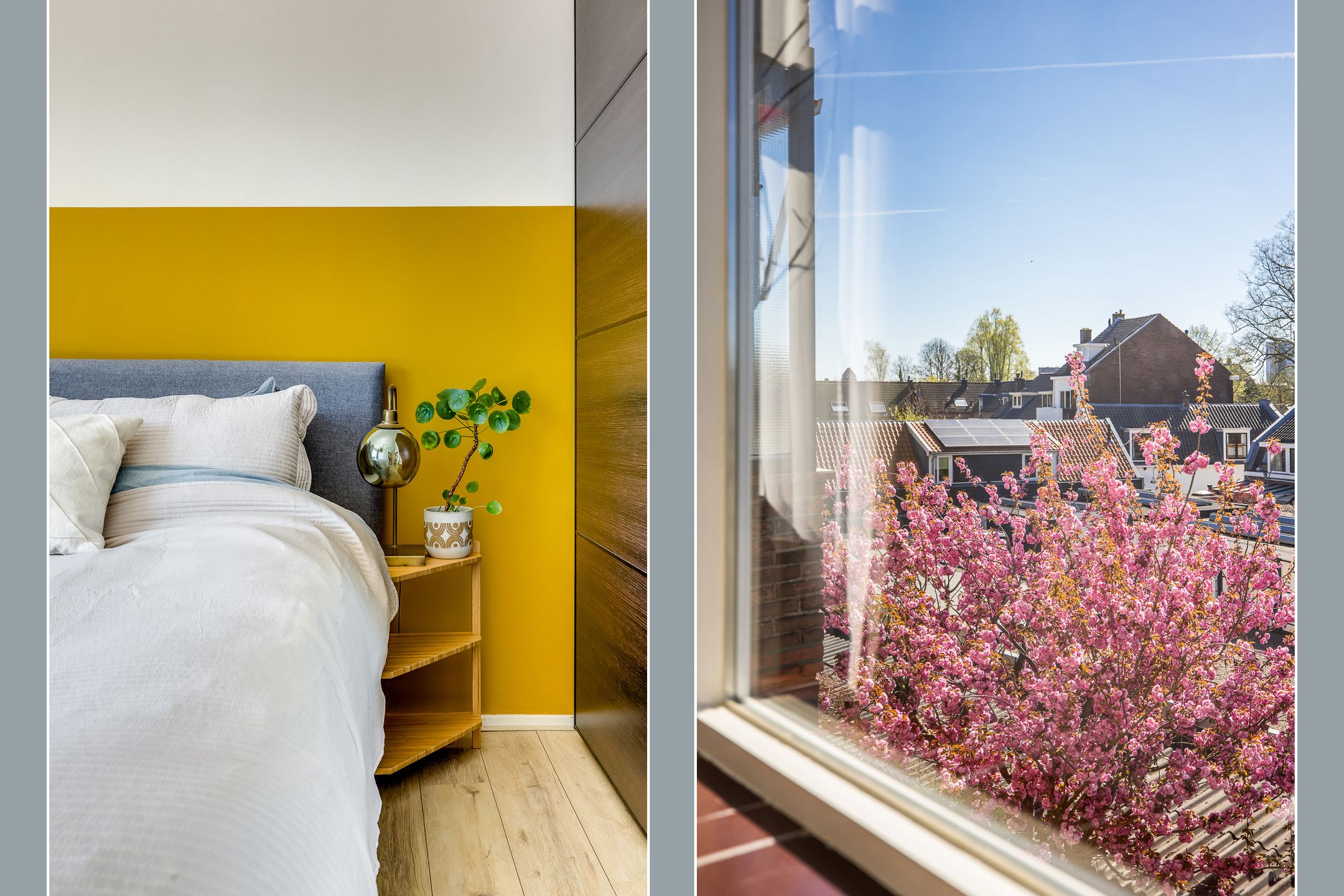 Foto 30 van Homeruslaan 11-2