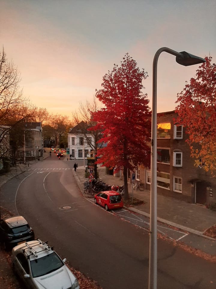 Foto 37 van Homeruslaan 11-2