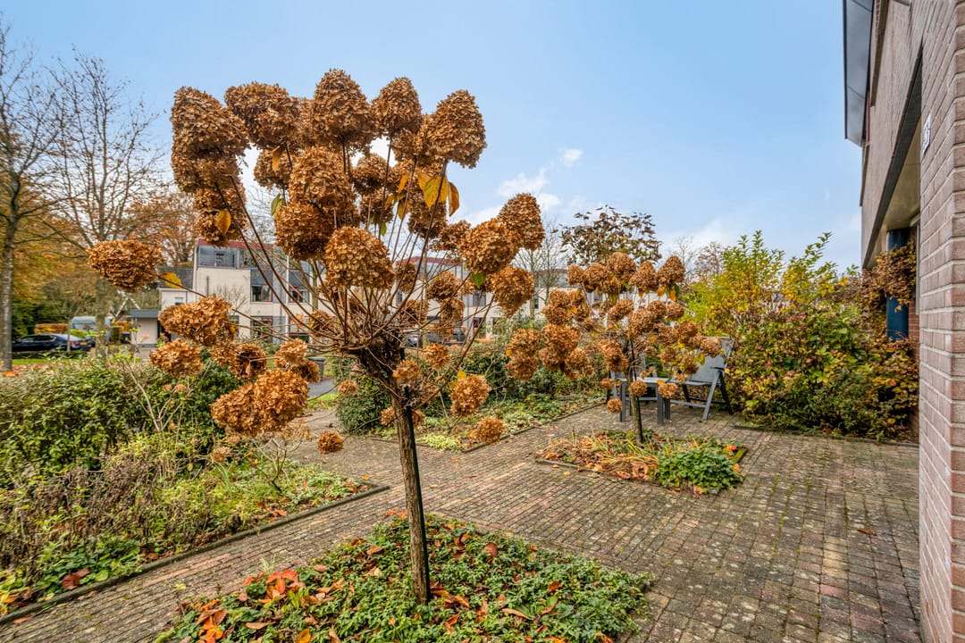 Foto 47 van Marie de Roodelaan 53