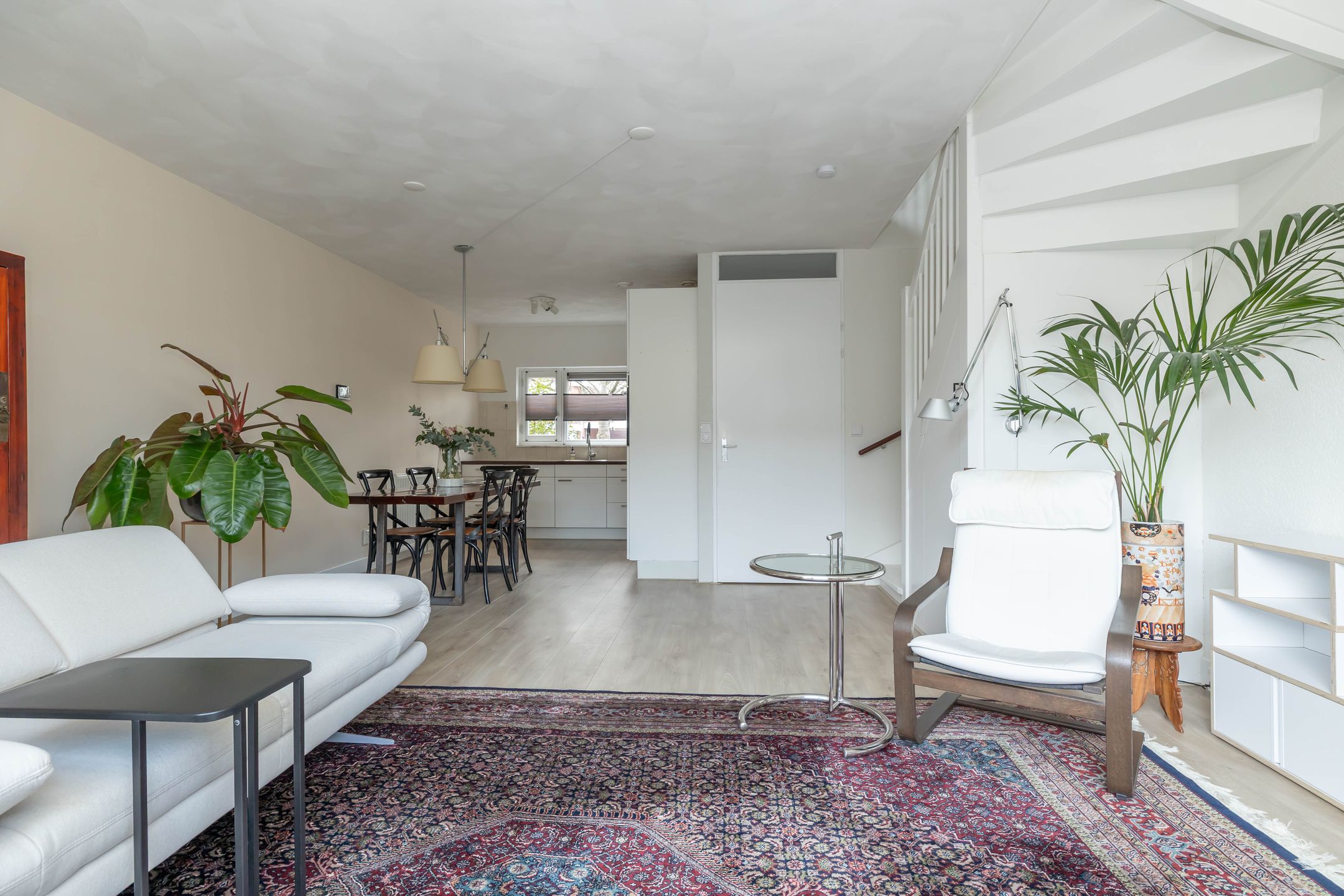 Foto 3 van Keizersmantel 5