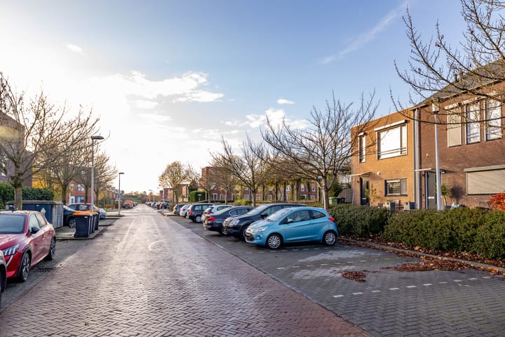 Photo 44 of Keizersmantel 5