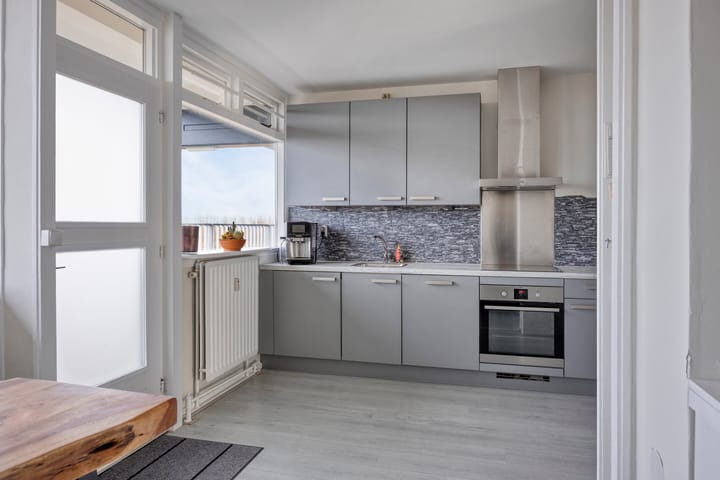 Foto 13 van Anatole Franceplaats 500