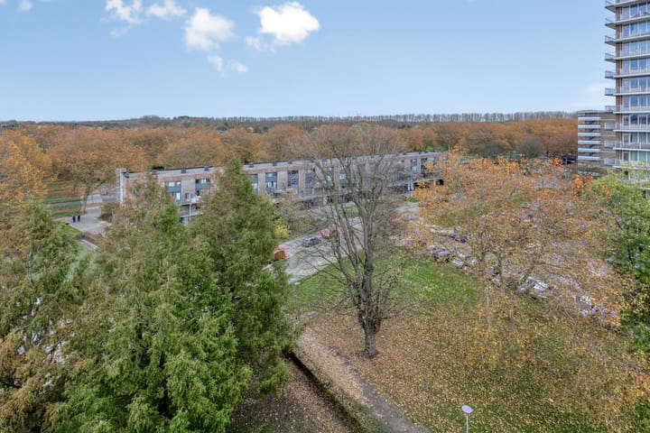 Foto 30 van Anatole Franceplaats 500