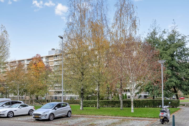 Foto 35 van Anatole Franceplaats 500