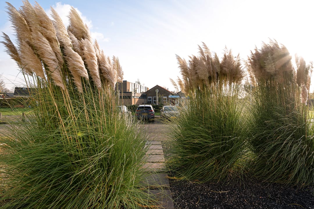 Foto 32 van Klaas van der Meijstrjitte 16