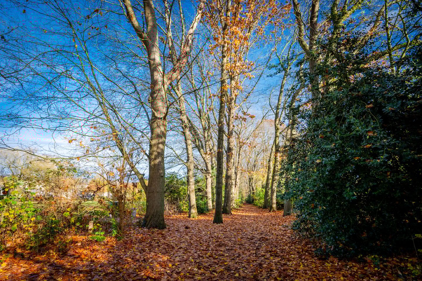 Foto 29 van Bosstraat 43-A