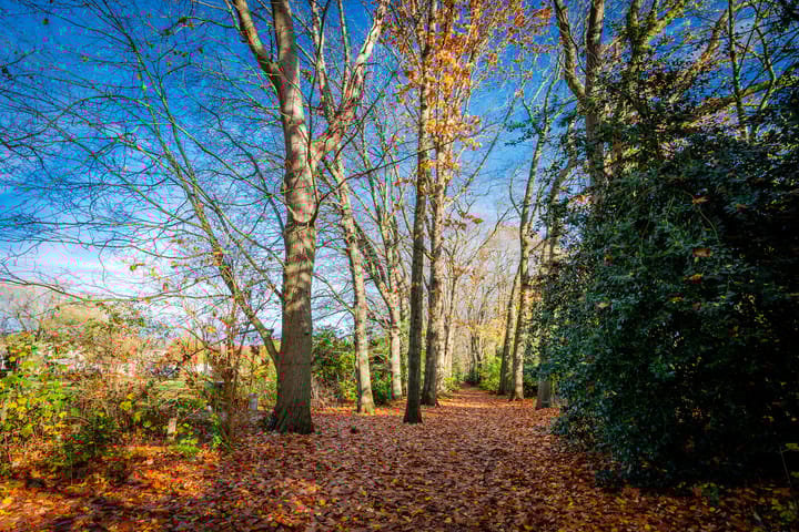 Foto 29 van Bosstraat 43-A