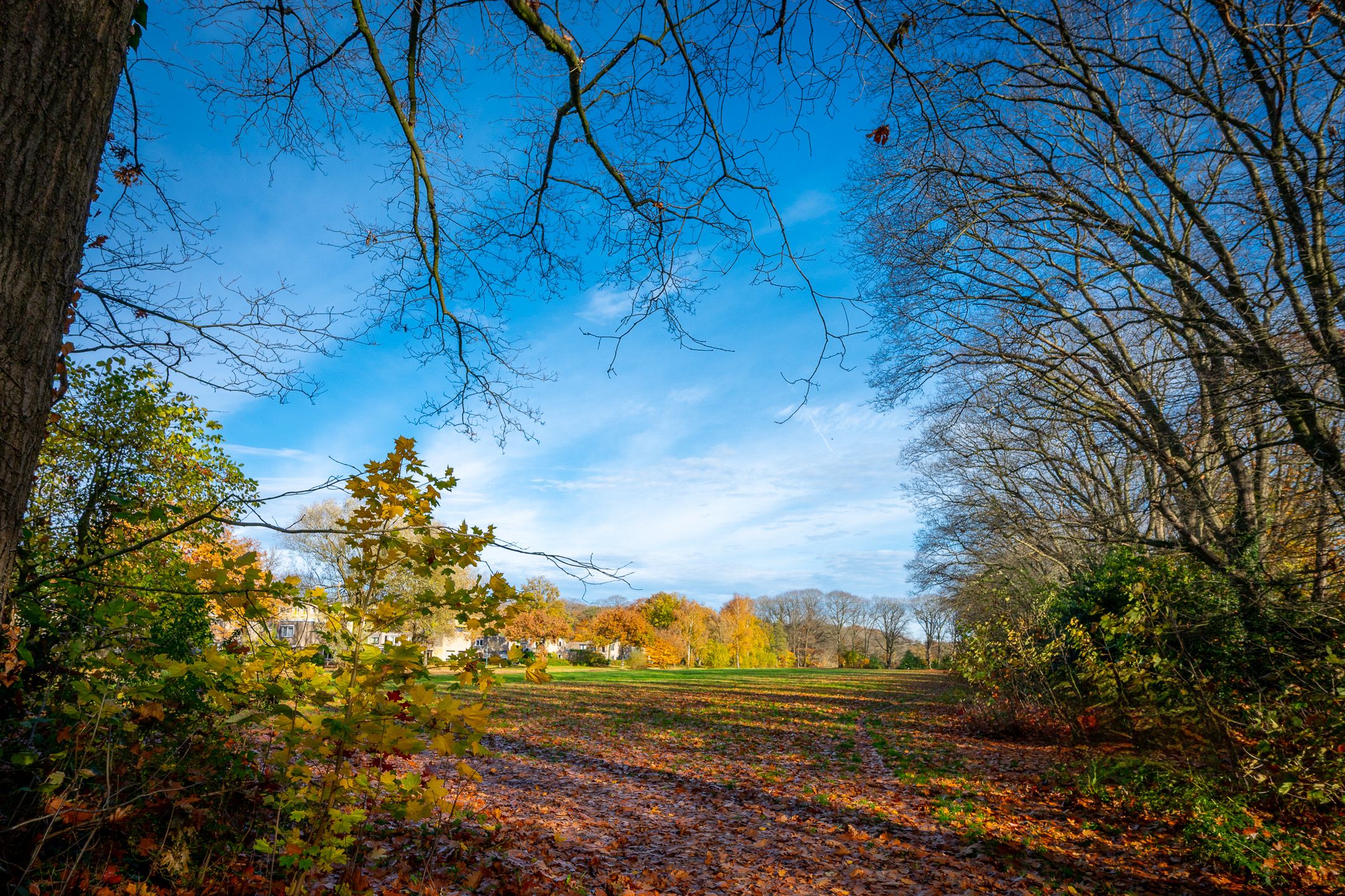 Foto 30 van Bosstraat 43-A