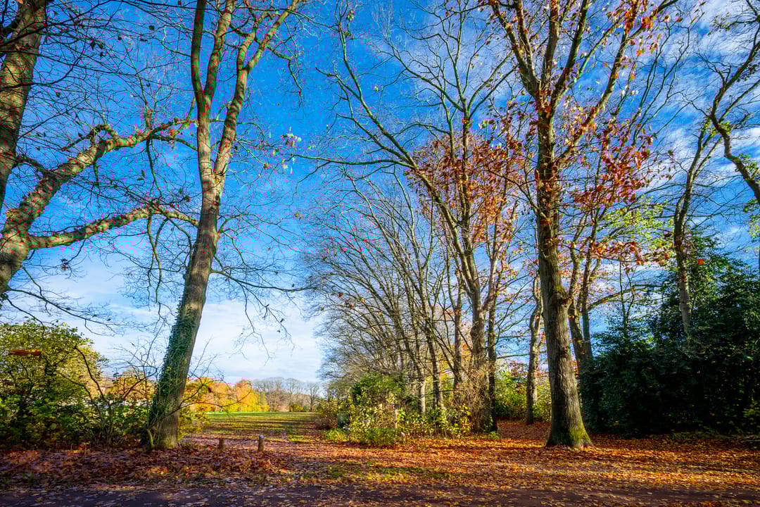 Foto 31 van Bosstraat 43-A