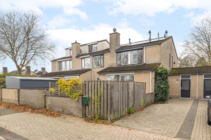 Photo 1 of Ganzebloem 69