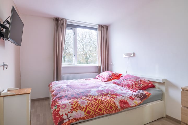 Photo 15 of Ganzebloem 69