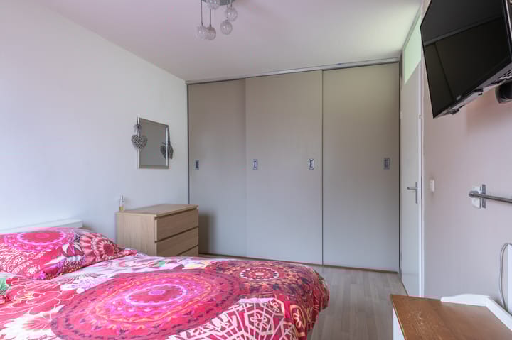 Photo 16 of Ganzebloem 69