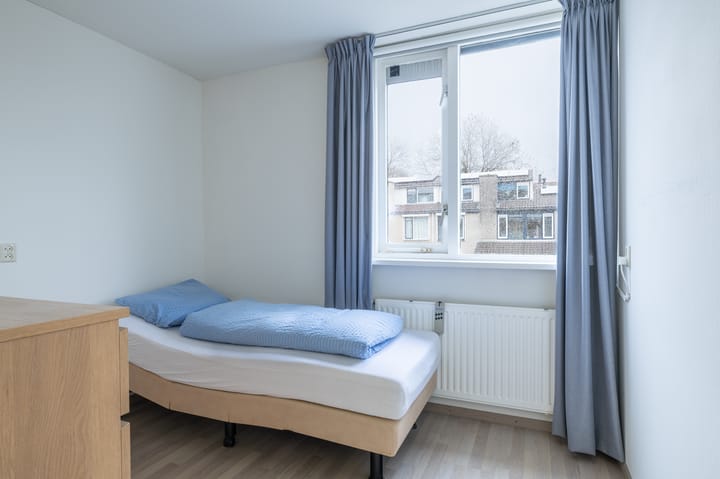 Photo 17 of Ganzebloem 69