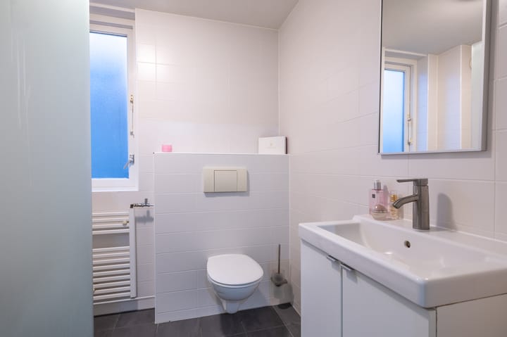 Photo 20 of Ganzebloem 69