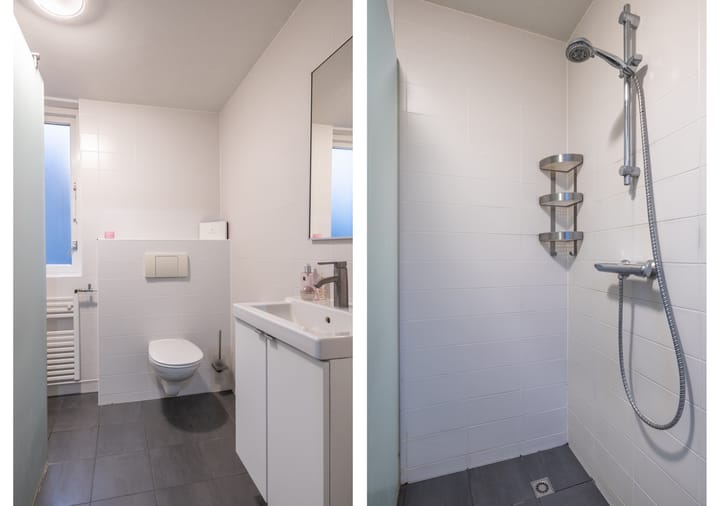 Photo 21 of Ganzebloem 69