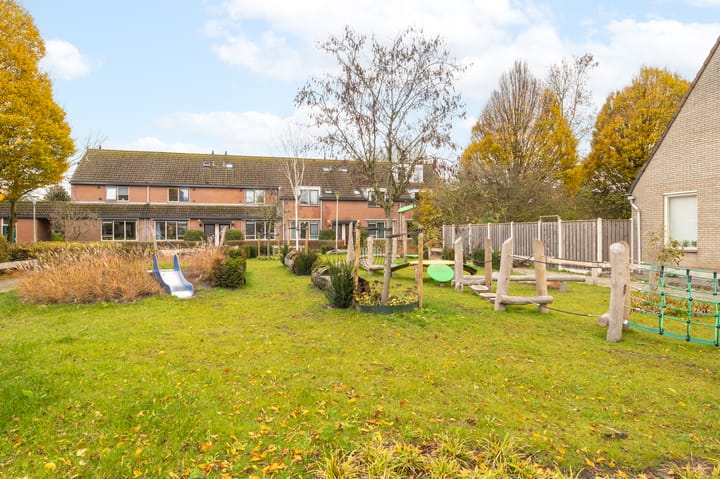 Photo 33 of Ganzebloem 69