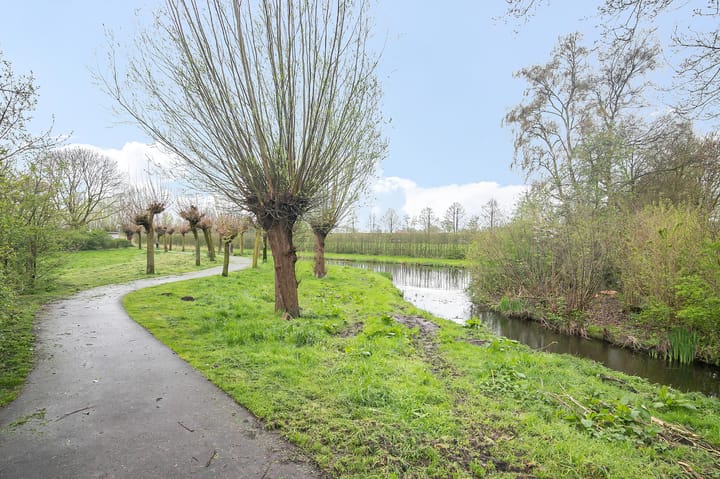 Photo 34 of Ganzebloem 69