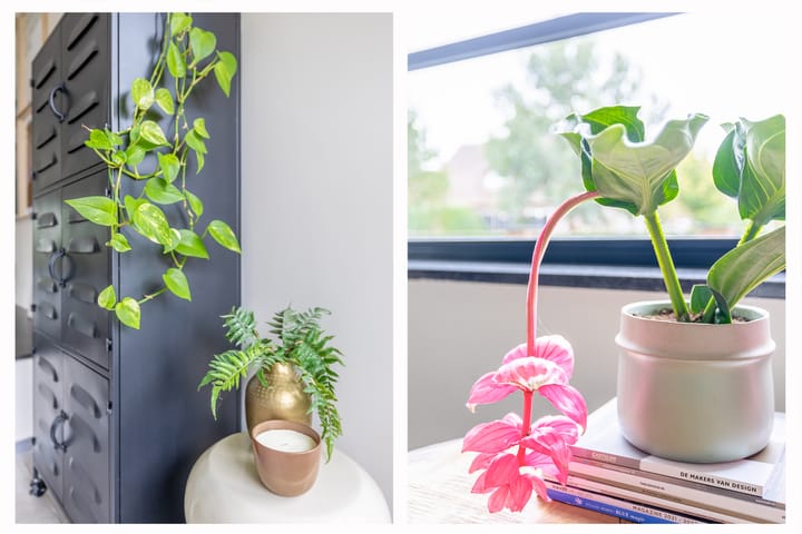 Foto 19 van Florijnlaan 4