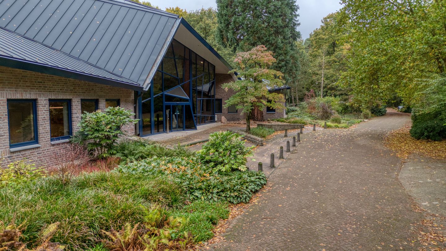 View photo 4 of Horaplantsoen 20