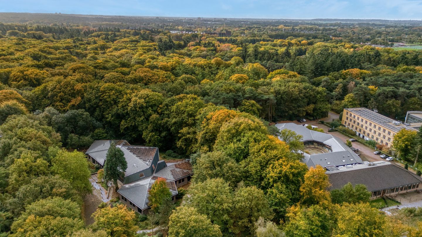 View photo 3 of Horaplantsoen 20