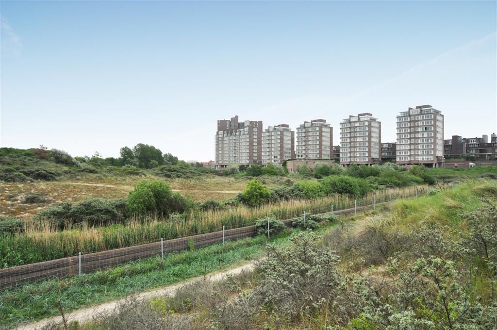 Foto 1 van Groningsestraat 305