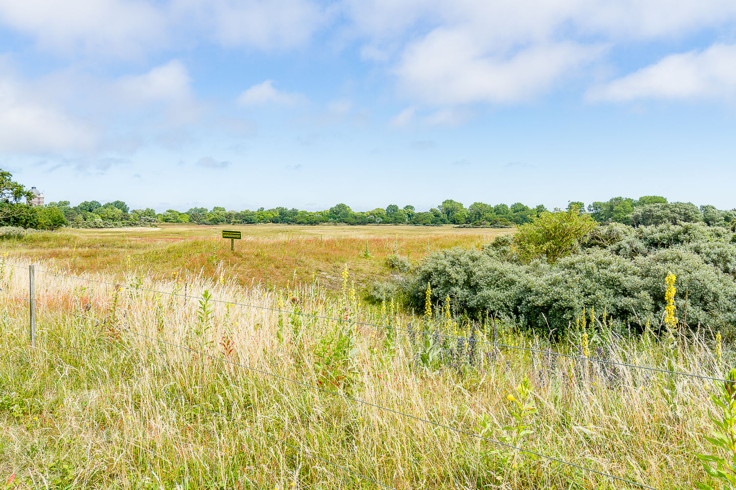 Foto 35 van Groningsestraat 305