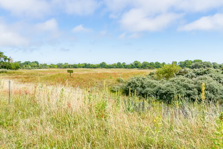 Foto 35 van Groningsestraat 305